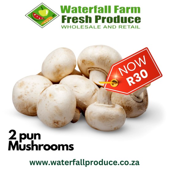 Fresh Mushroom Special — advert created for Waterfall Farm Fresh Produce